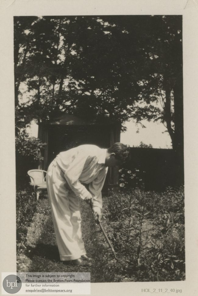 Photograph of unidentified man hoeing a garden