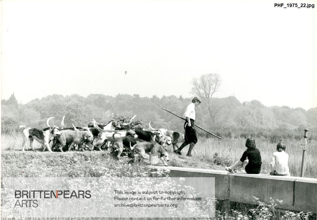 Photograph of Otter Hound Pack in Master's charge at Snape