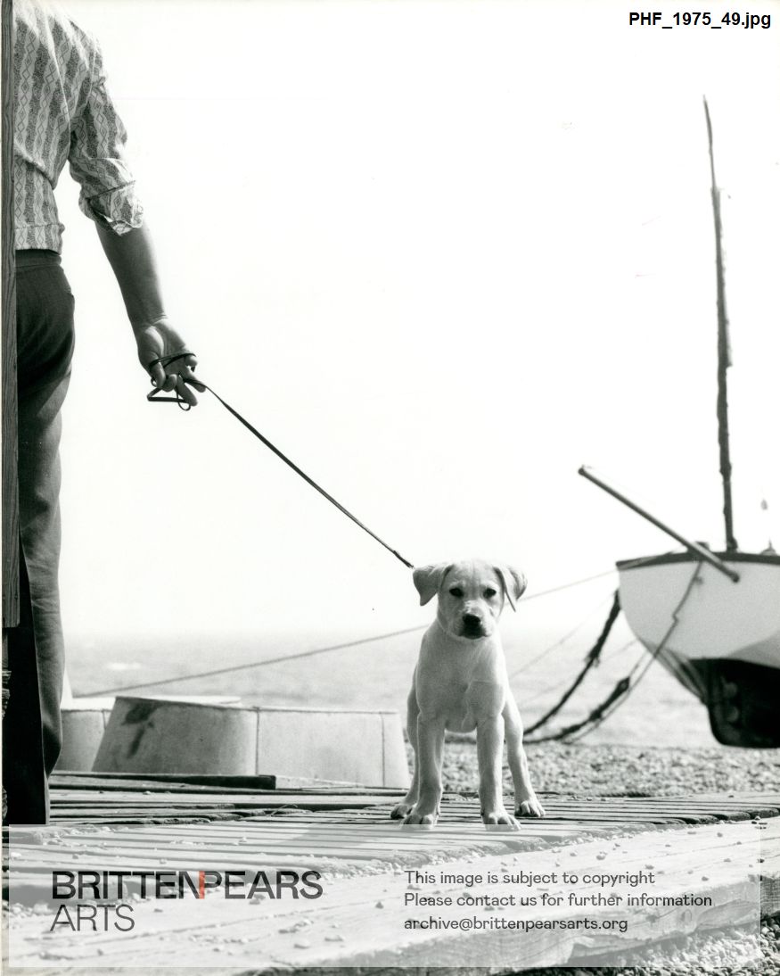 Photograph of a labrador puppy on Aldeburgh beach
